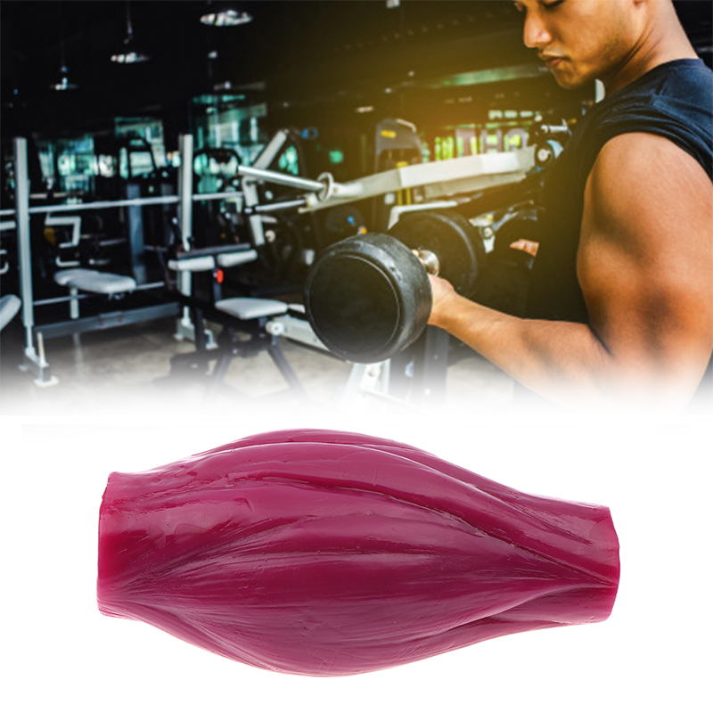 1lb Muscle to Keep Fit & Weigh - đánh giá và giá Nutrition And Fitness Courses